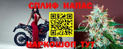 хмурый Новозыбков