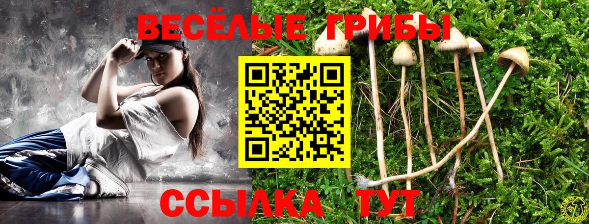 Обь  Галлюциногенные грибы Cubensis  Вход с VPN 